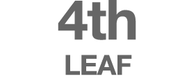 4th LEAF