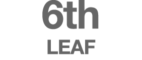 6th LEAF