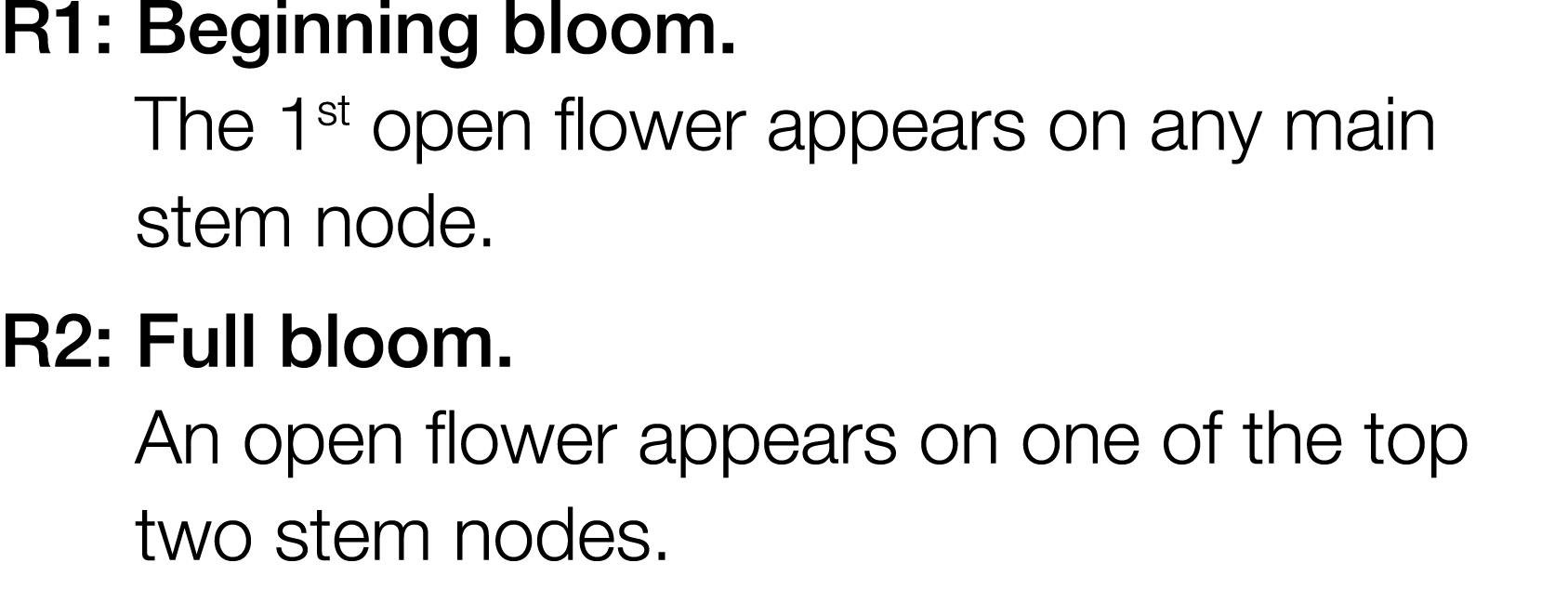 R1:  Beginning bloom  The 1st open flower appears on any main stem node  R2:  Full bloom  An open flower appears on o   