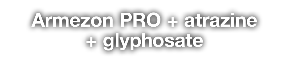 Armezon PRO + atrazine + glyphosate