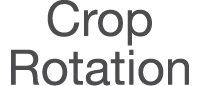 Crop Rotation
