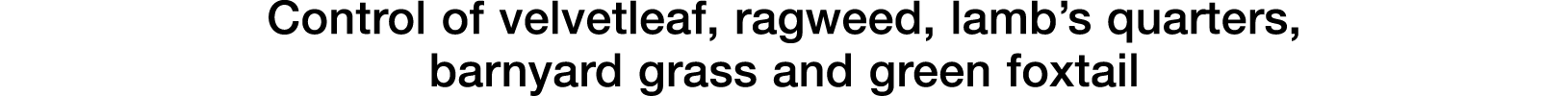 Control of velvetleaf, ragweed, lamb s quarters, barnyard grass and green foxtail