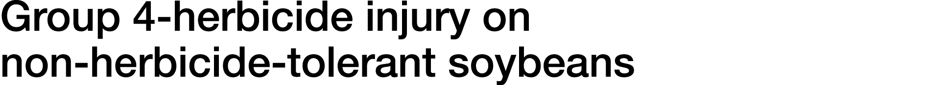 Group 4-herbicide injury on non-herbicide-tolerant soybeans