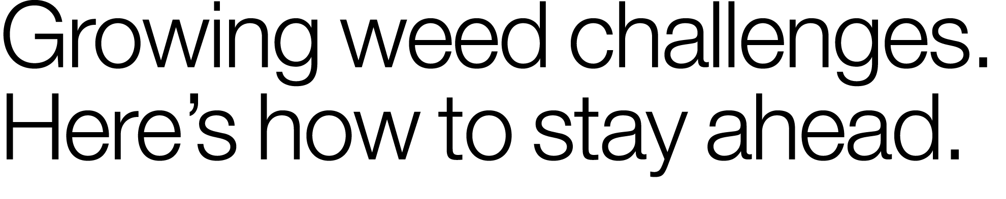 Growing weed challenges  Here s how to stay ahead  