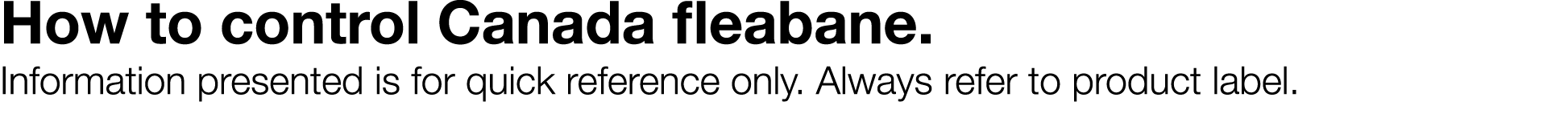 How to control Canada fleabane  Information presented is for quick reference only  Always refer to product label  