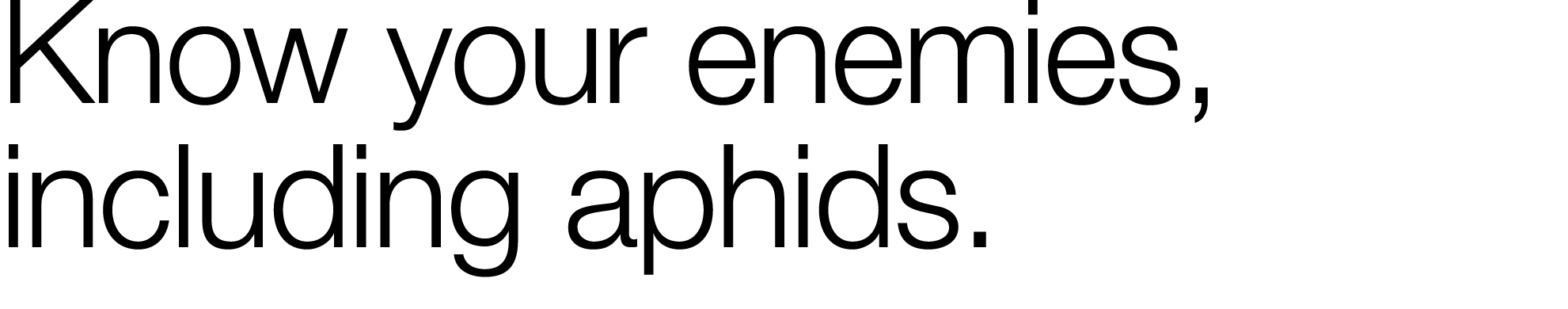 Know your enemies, including aphids  