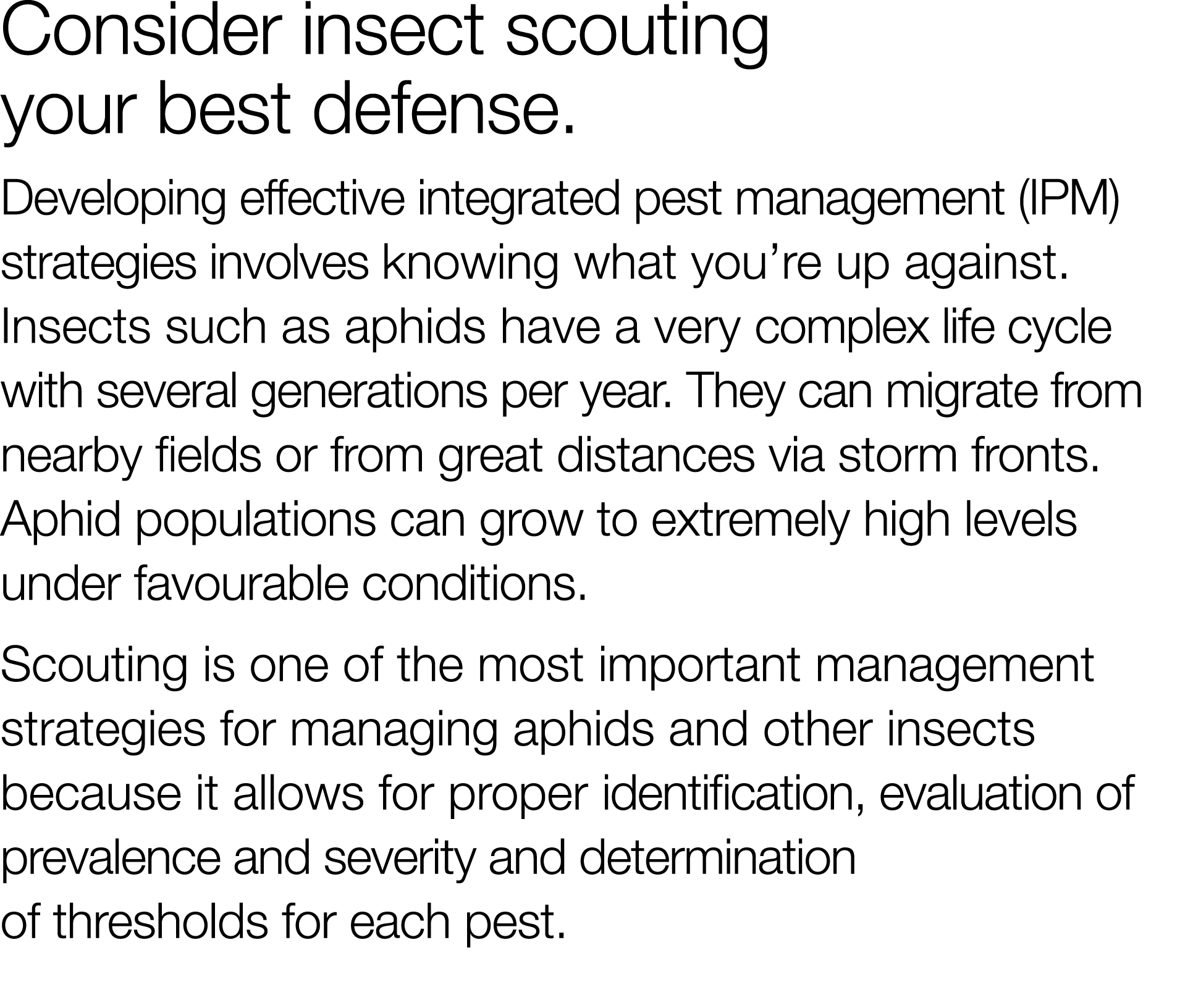 Consider insect scouting your best defense  Developing effective integrated pest management (IPM) strategies involves   