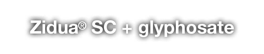 Zidua  SC + glyphosate