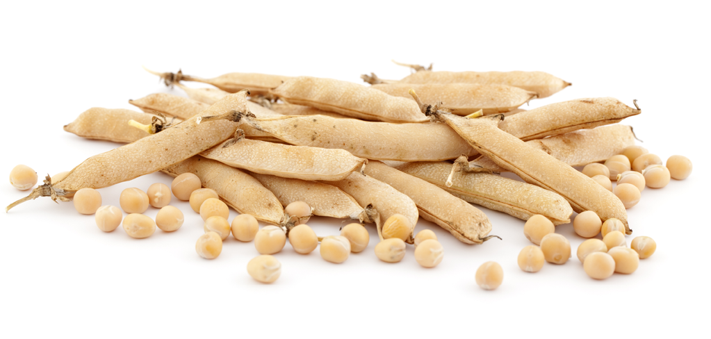 pods of pea and globule pea on white background