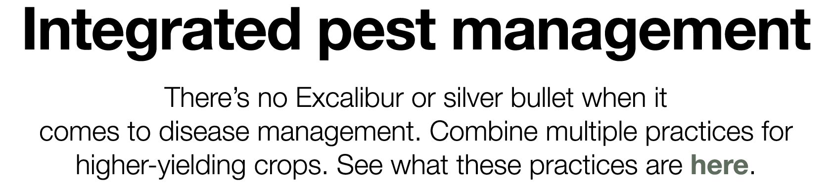 Integrated pest management There s no Excalibur or silver bullet when it comes to disease management  Combine multipl   