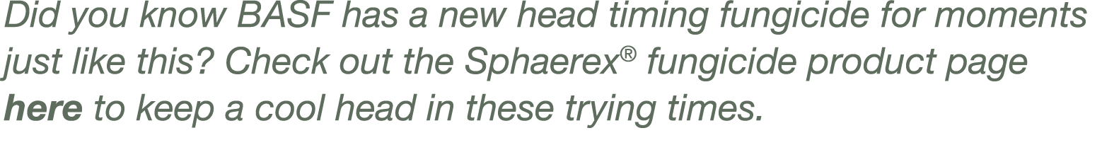 Did you know BASF has a new head timing fungicide for moments just like this  Check out the Sphaerex  fungicide produ   