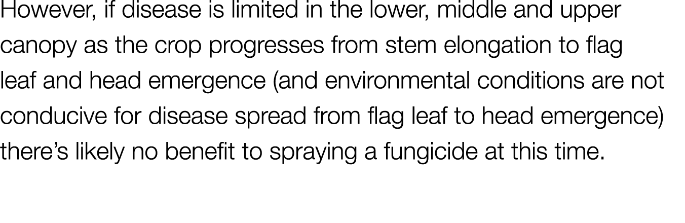 However, if disease is limited in the lower, middle and upper canopy as the crop progresses from stem elongation to f   