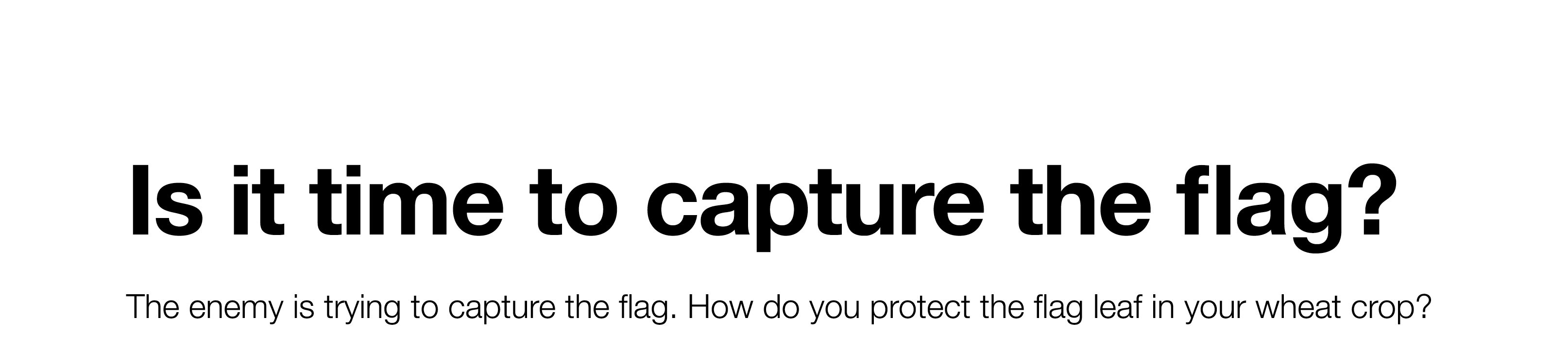 Is it time to capture the flag  The enemy is trying to capture the flag  How do you protect the flag leaf in your whe   