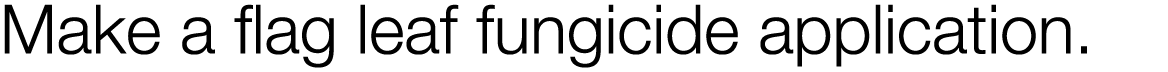 Make a flag leaf fungicide application  