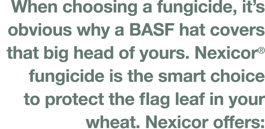 When choosing a fungicide, it s obvious why a BASF hat covers that big head of yours  Nexicor  fungicide is the smart   
