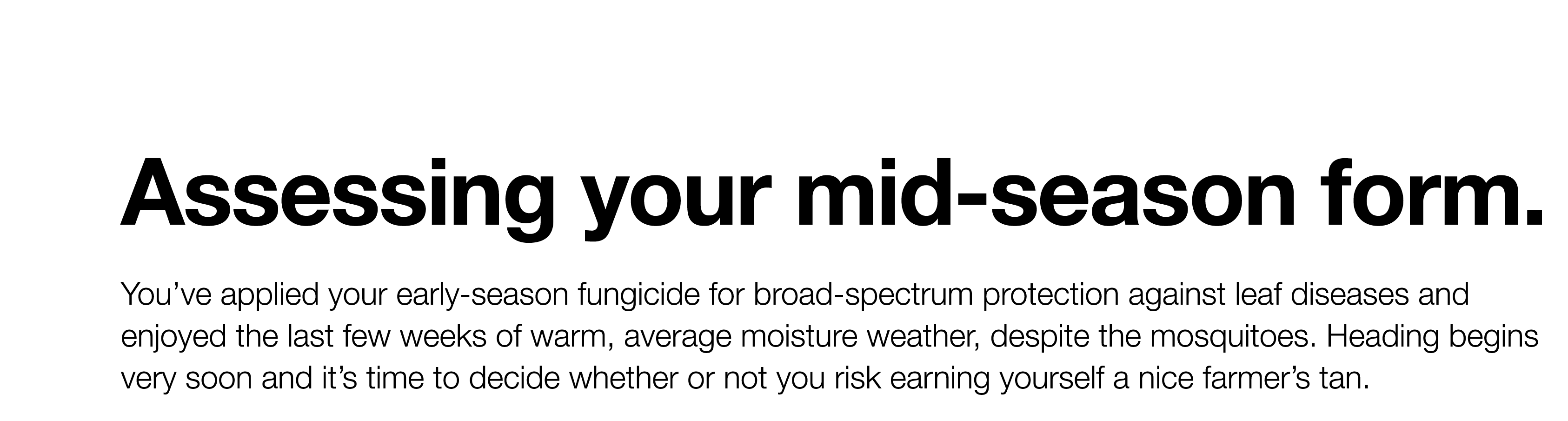 Assessing your mid-season form  You ve applied your early-season fungicide for broad-spectrum protection against leaf   