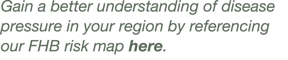 Gain a better understanding of disease pressure in your region by referencing our FHB risk map here 