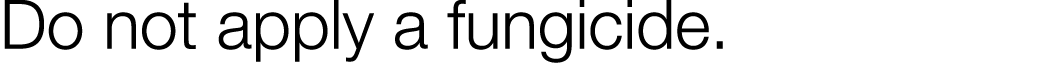 Do not apply a fungicide 