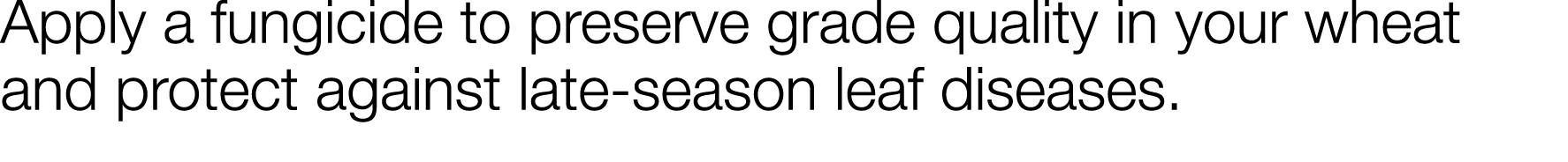 Apply a fungicide to preserve grade quality in your wheat and protect against late-season leaf diseases  