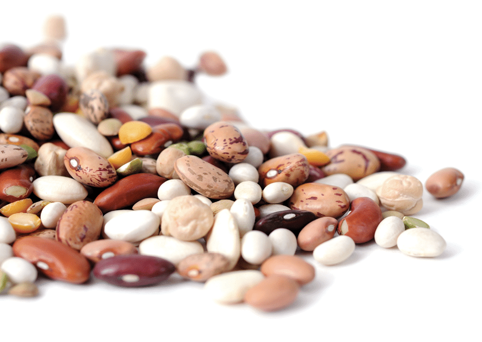 mix bean on white background