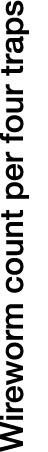 Wireworm count per four traps