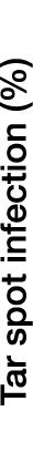 Tar spot infection (%)