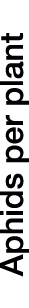 Aphids per plant