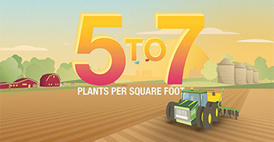 5 to 7 plants per square foot