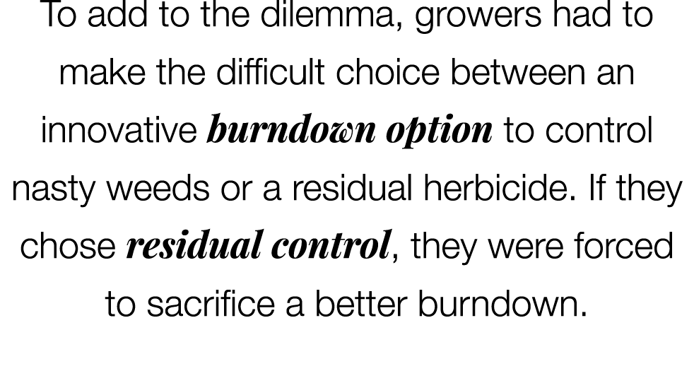 To add to the dilemma, growers had to make the difficult choice between an innovative burndown option to control nast...