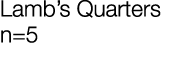 Lamb’s Quarters n=5