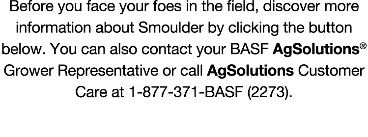 Before you face your foes in the field, discover more information about Smoulder by clicking the button below. You ca...