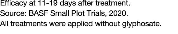 Efficacy at 11-19 days after treatment. Source: BASF Small Plot Trials, 2020. All treatments were applied without gly...